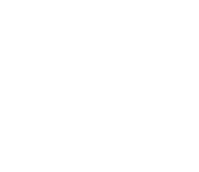 FOX FOX white ג.יוספטל FOX | ג.יוספטל | קנה עכשיו