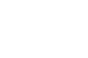 FOX FOX white עתיד רזיאל FOX | עתיד רזיאל | קנה עכשיו