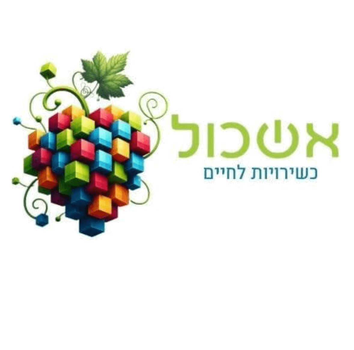 FOX FOX colorful אשכול FOX | אשכול | קנה עכשיו