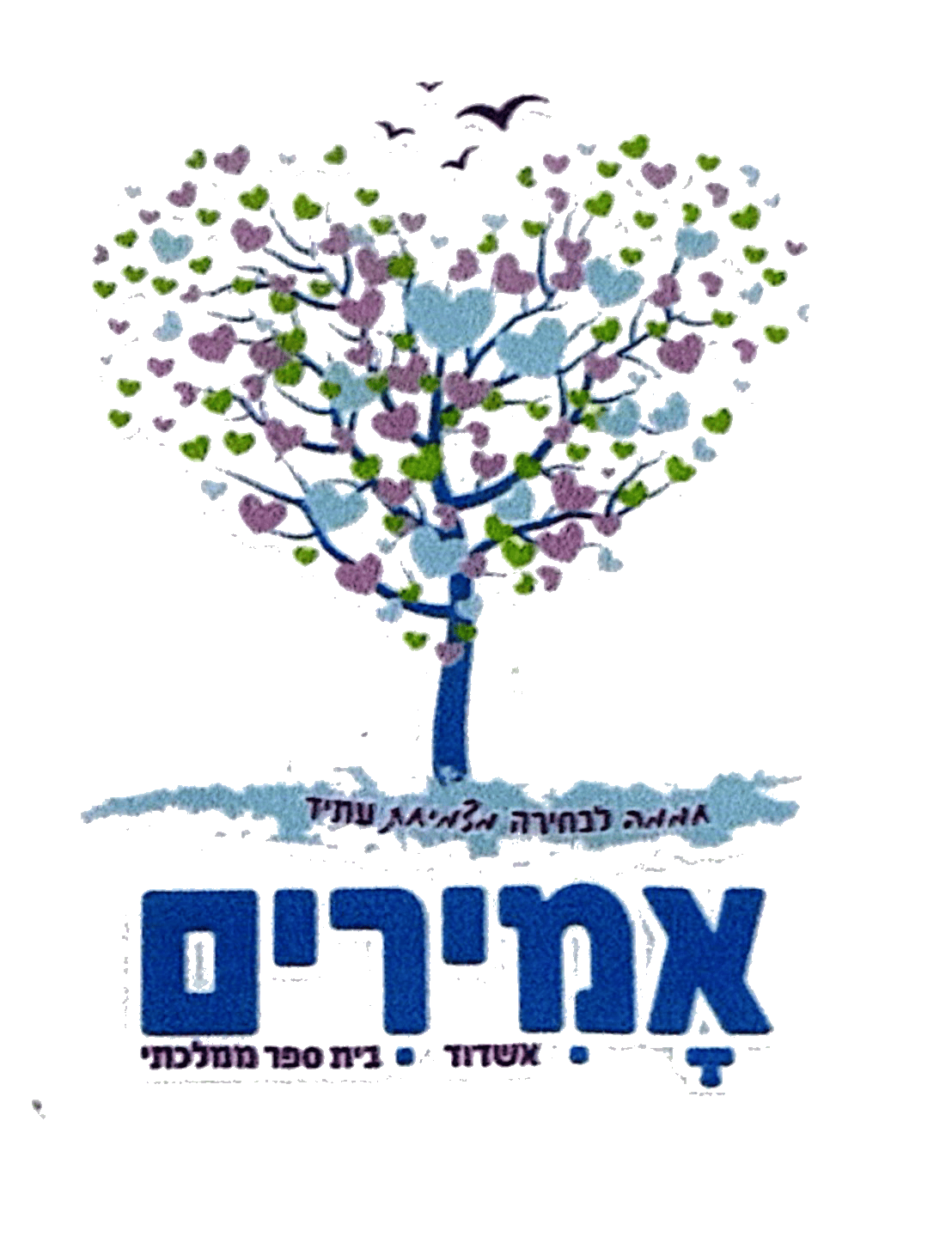 FOX FOX COLORFUL אמירים FOX | אמירים | קנה עכשיו