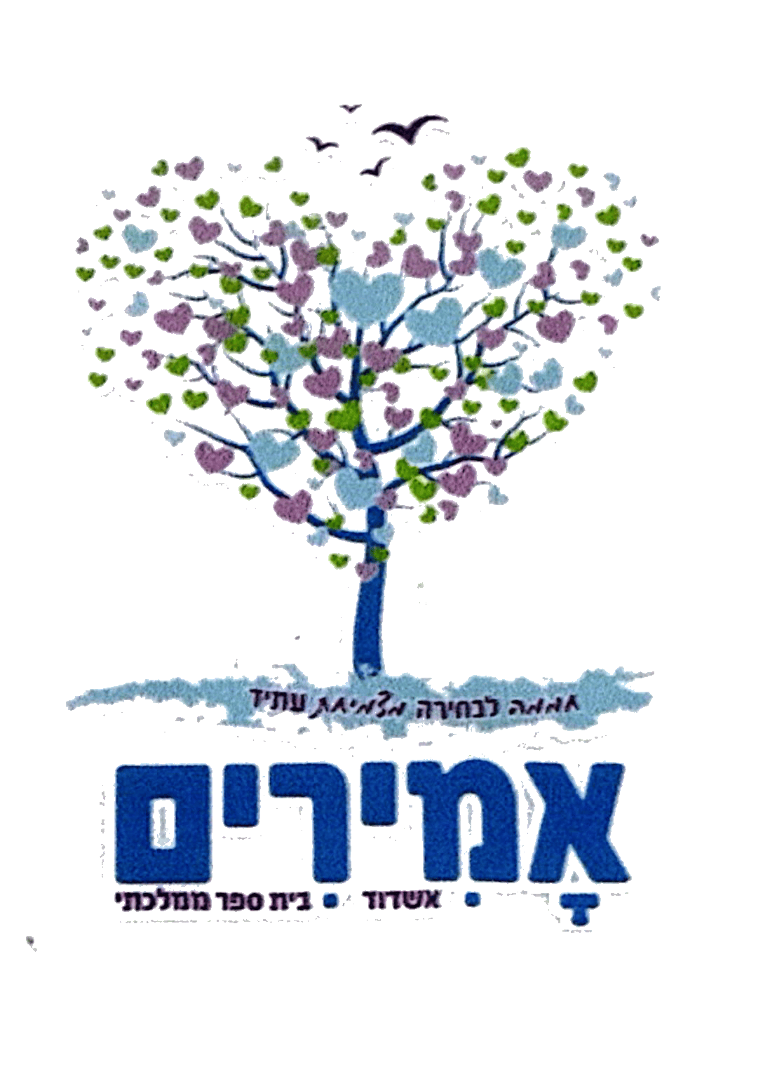 FOX FOX COLORFUL אמירים FOX | אמירים | קנה עכשיו