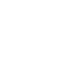 FOX FOX white ניצני קטיף FOX | ניצני קטיף | קנה עכשיו