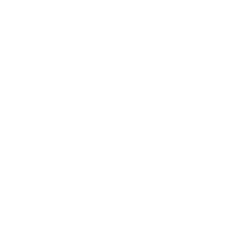 FOX FOX white מקיף אזורי מ יסודי FOX | מקיף אזורי מ | קנה עכשיו