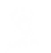 FOX FOX white ישיבת אמית FOX | ישיבת אמית | קנה עכשיו