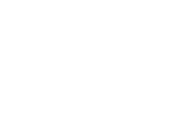 FOX FOX WHITE ארץ הצבר FOX | ארץ הצבר | קנה עכשיו