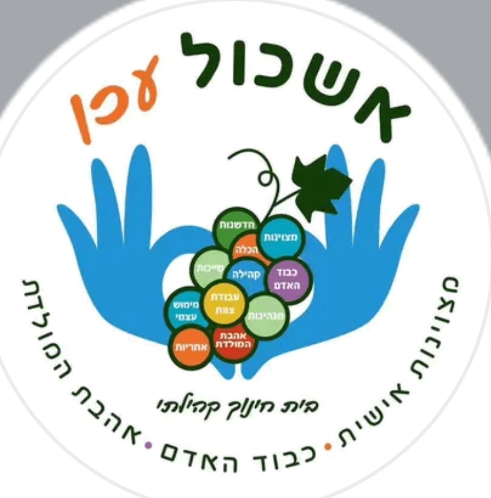 FOX FOX colorful אשכול עכו FOX | אשכול עכו | קנה עכשיו